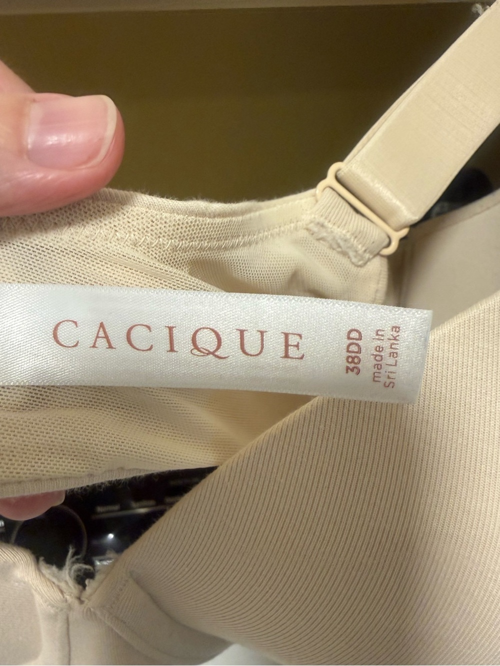 Cacique Cotton Lightly Lined T-Shirt Bra, 38DD - Picture 4 of 6
